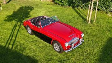 Thumbnail von Austin Healey Andere