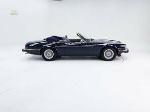 Thumbnail von Jaguar XJS V12 Cabriolet '89