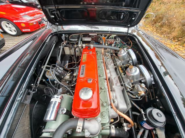 Thumbnail von Austin Healey A H 100/6 BN4 2+2 - German top restoration!