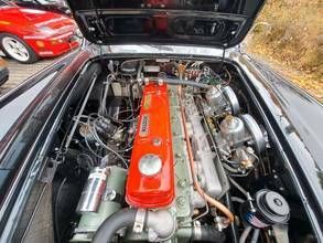Thumbnail von Austin Healey A H 100/6 BN4 2+2 -restauro totale !