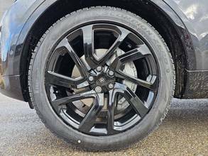 Thumbnail von Land Rover Discovery D250 Dynamic SE ACC WINTER PANO MERIDI