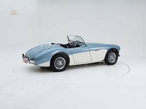 Thumbnail von Austin Healey 100/4 BN 1 '54
