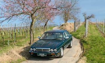 Thumbnail von Jaguar Daimler V8 versione lunga 3 anni di garanzia