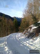 Thumbnail von immobilien-lindstedt.de / INVESTOREN HERGEHÖRT! WERTVOLLES AREAL MIT ÄUßERST VIEL POTENZIAL!