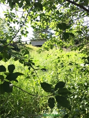 Ihr Hausbauplatz an der Ostsee