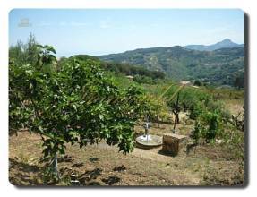 Thumbnail von Immogold Villetta mitten im Madoniepark, ca. sieben Kilometer oberhalb von Cefalu