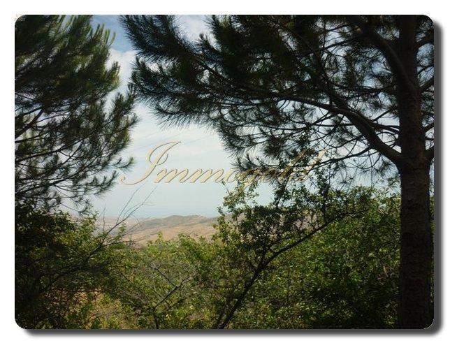 Thumbnail von Casa plus kleines Rustico und Meerblick