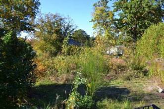 Thumbnail von Kleiner bezugsfreier Bungalow in Schmachtenhagen