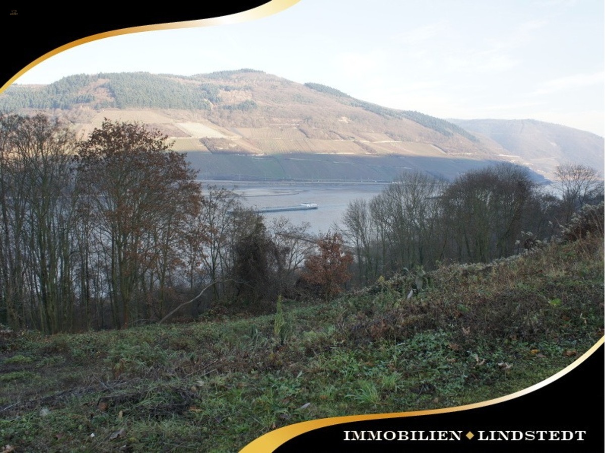 immobilien-lindstedt.de / RHEINBLICK GESUCHT? BAUPLATZ GESUCHT? BITTESCHÖN!