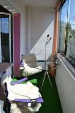 Thumbnail von Kapitalanlage am Volkspark Prenzlauer Berg