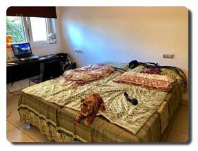 Thumbnail von Immogold, chice drei Zimmer Wohnung mit großer Terrasse