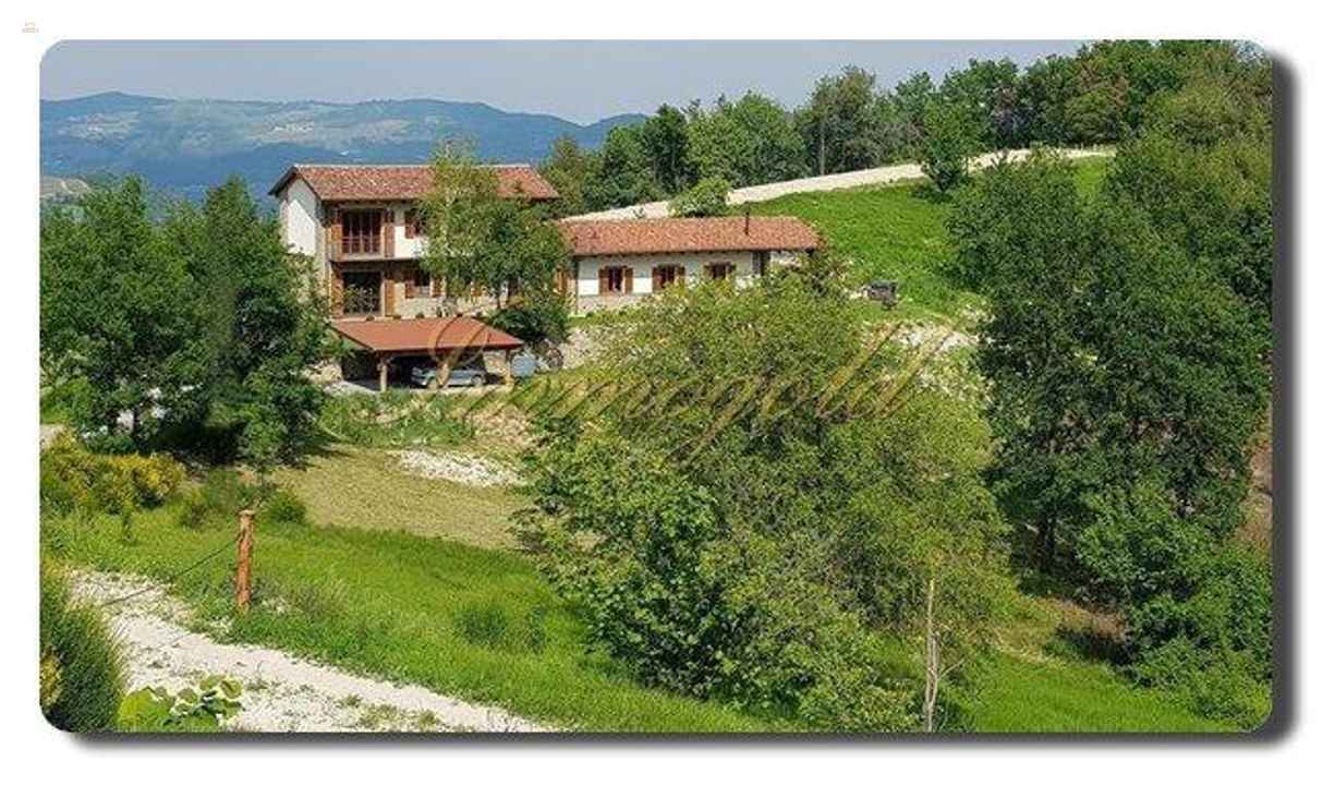 Immogold, gepflegtes Landhaus in schöner Lage, nahe den Weinbergen und Alba