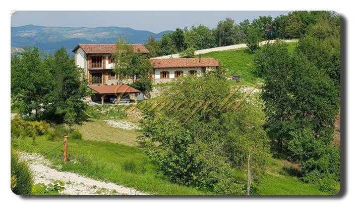 Immogold, gepflegtes Landhaus in schöner Lage, nahe den Weinbergen und Alba