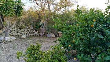 Thumbnail von ***Gepflegte Villa mit 178 m² und einem ausbaufährigem Untergeschoss von 170 m² im Raum Muchamiel mit Bergpanoramablick***