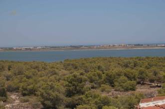 Thumbnail von ***Günstiges Apartment mit Balkon, 3 Schlafzimmern und Dachterrasse***