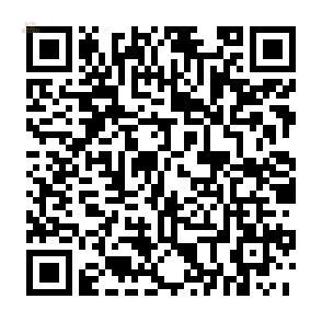 Thumbnail von ***Neubauvilla Dea mit herrlichem Panoramablick in jedem Zimmer***