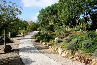 Thumbnail von Finca SonJorge