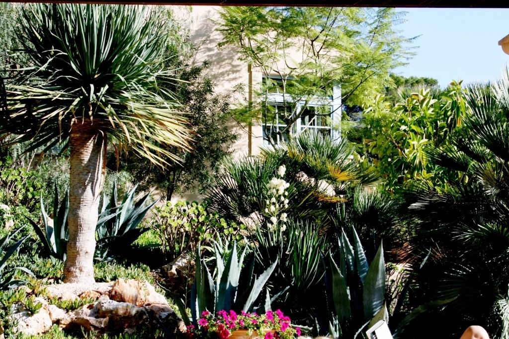 Thumbnail von Finca SonJorge