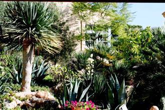 Thumbnail von Finca SonJorge