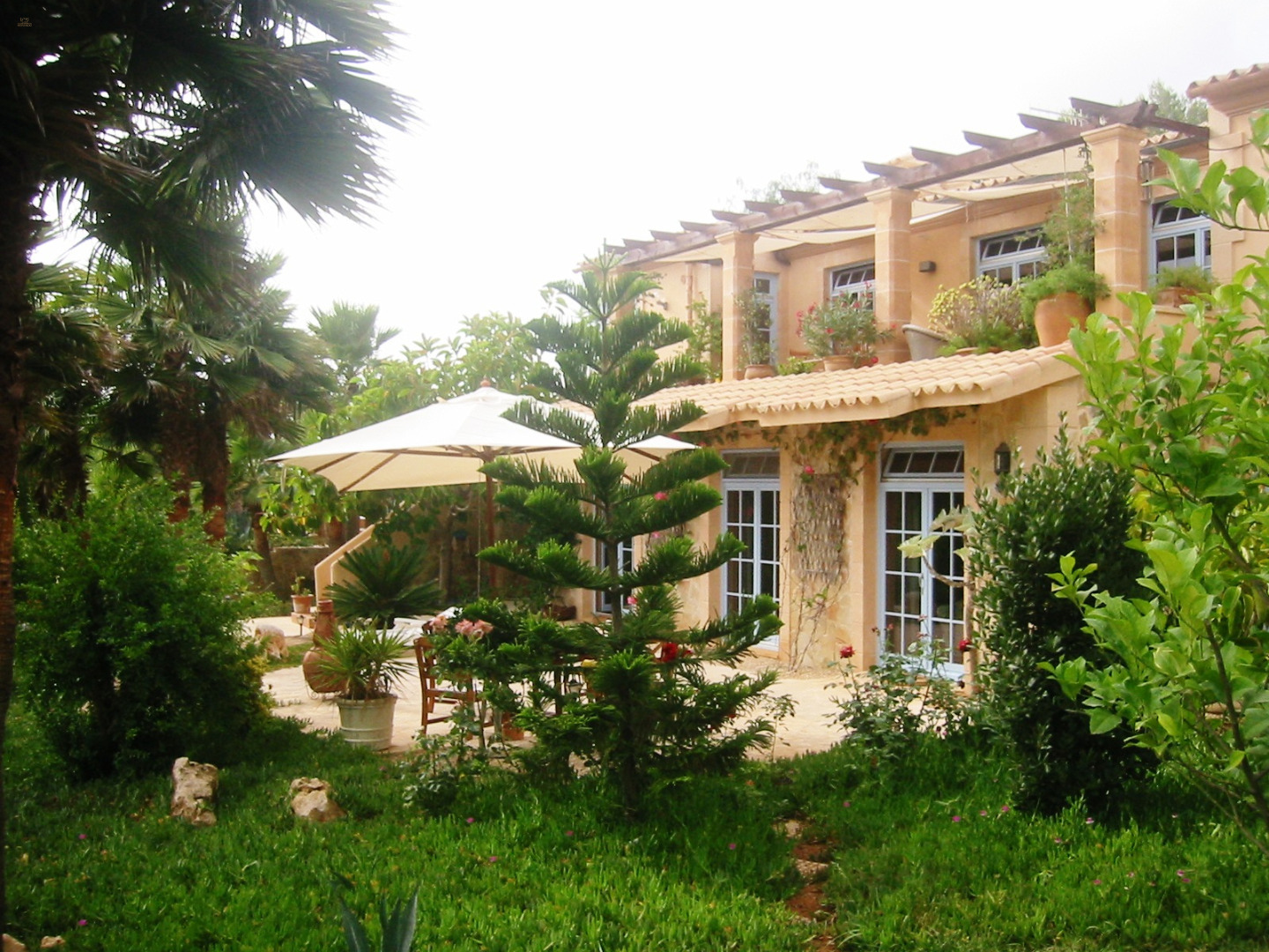 Thumbnail von Finca SonJorge