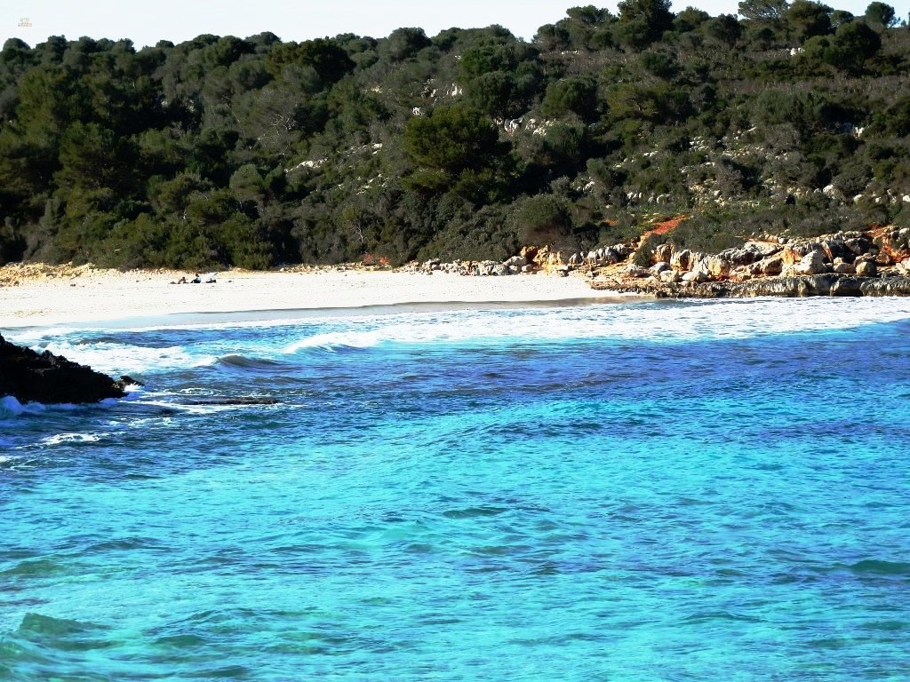 Thumbnail von Finca SonJorge