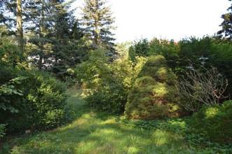 Thumbnail von Baureifes Grundstück auch für 2 Einfamilienhäuser geeignet