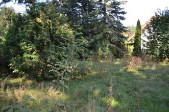 Thumbnail von Baureifes Grundstück auch für 2 Einfamilienhäuser geeignet