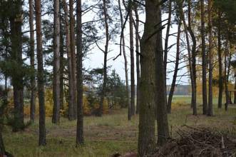 Thumbnail von EFH auf ruhigem Grundstück wenige Minuten des Wandlitzsees gelegen