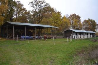 Thumbnail von Ideal für Pferdeliebhaber, traumhaftes Baugrundstück mit privatem Forst und Landwirtschaft