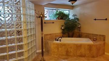 Thumbnail von 5254 RIVER BLOSSOM Lane