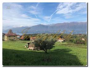 Thumbnail von Immogold, großes Freizeitgrundstück mit Gartenlaube