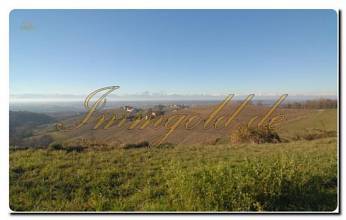 Thumbnail von Immogold alte Klosteranlage zu renovieren