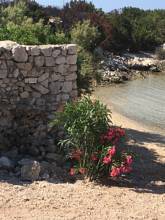 Thumbnail von Участки прямо у моря. Дома-дачи для отдыха. Каменные виллы. Бутик-отели.