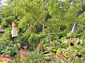Thumbnail von Idyllisch gelegenes, durchsaniertes Einfamilienhaus, bezugsfertig