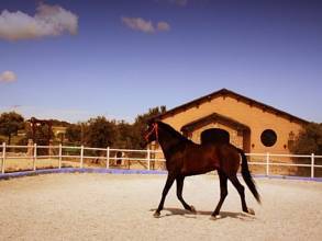 Thumbnail von Luxus-Villa in Antequera R2701595