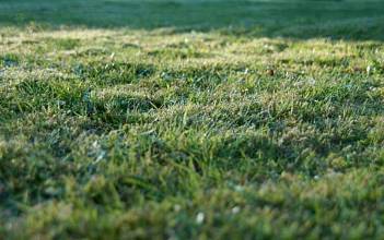 Thumbnail von Hotel-Projekt in Meck-Pom.