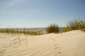 Thumbnail von Renditeobjekt Grundstück 015 Midlum - Traumhaftes Reetdachhaus