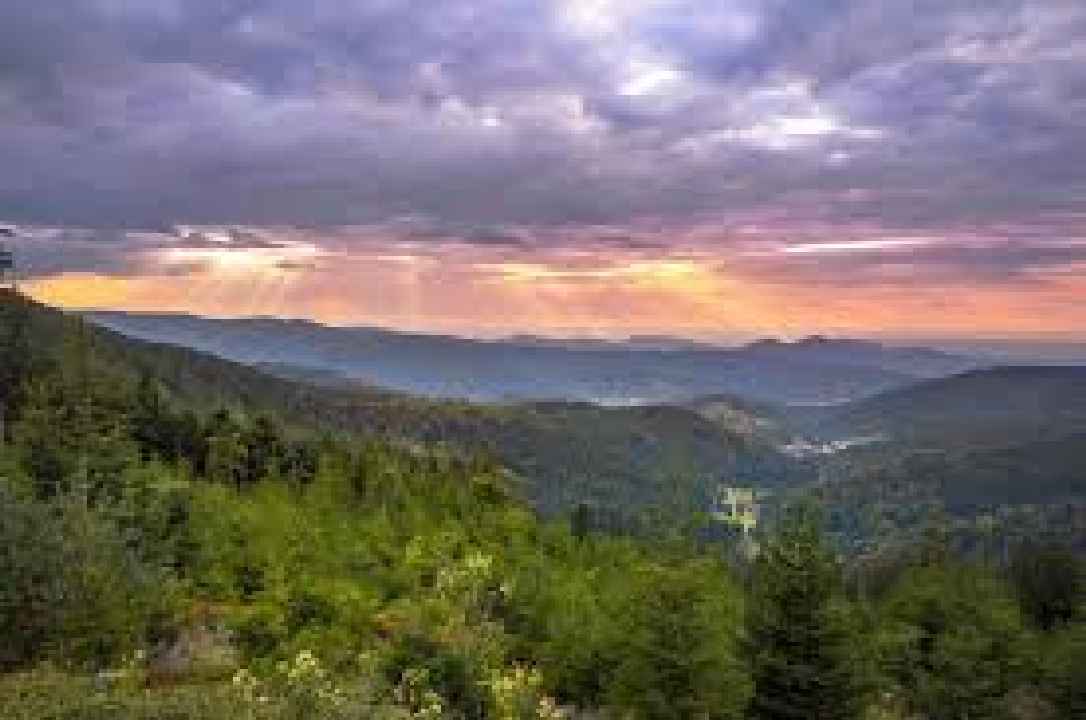 Renditeobjekt Hotel im Schwarzwald