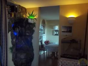 Thumbnail von Wohn und Geschäftshaus in Icod de los Vinos Teneriffa Nord 14 Zimmer