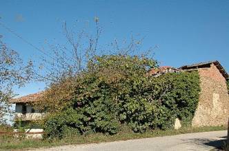 Thumbnail von Immogold Ursprünglicher Bauernhof mit einmaligen Super-Panorama