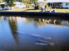 Thumbnail von 2614 SW 39th Terrace Cape Coral, FL 33914