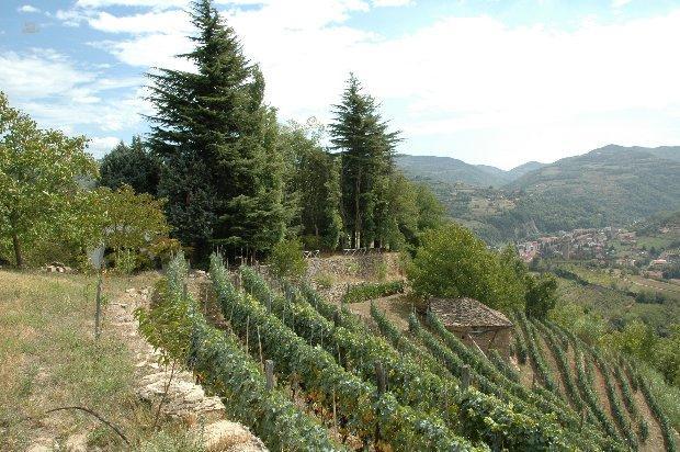 Thumbnail von Charmante Villa auf eigenem Hügel