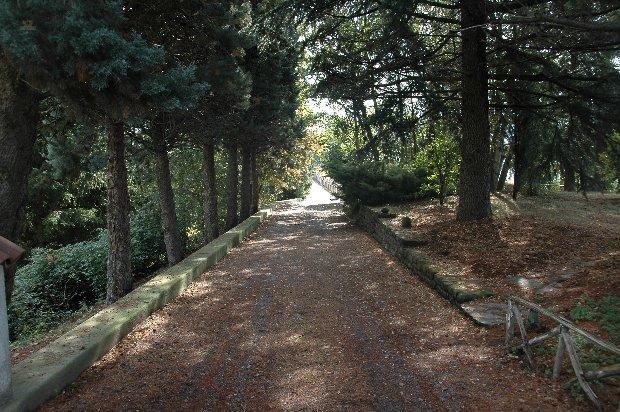 Thumbnail von Charmante Villa auf eigenem Hügel