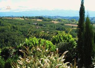 Thumbnail von Ein Traumhaus in den grünen Hügeln des Süd-Piemont