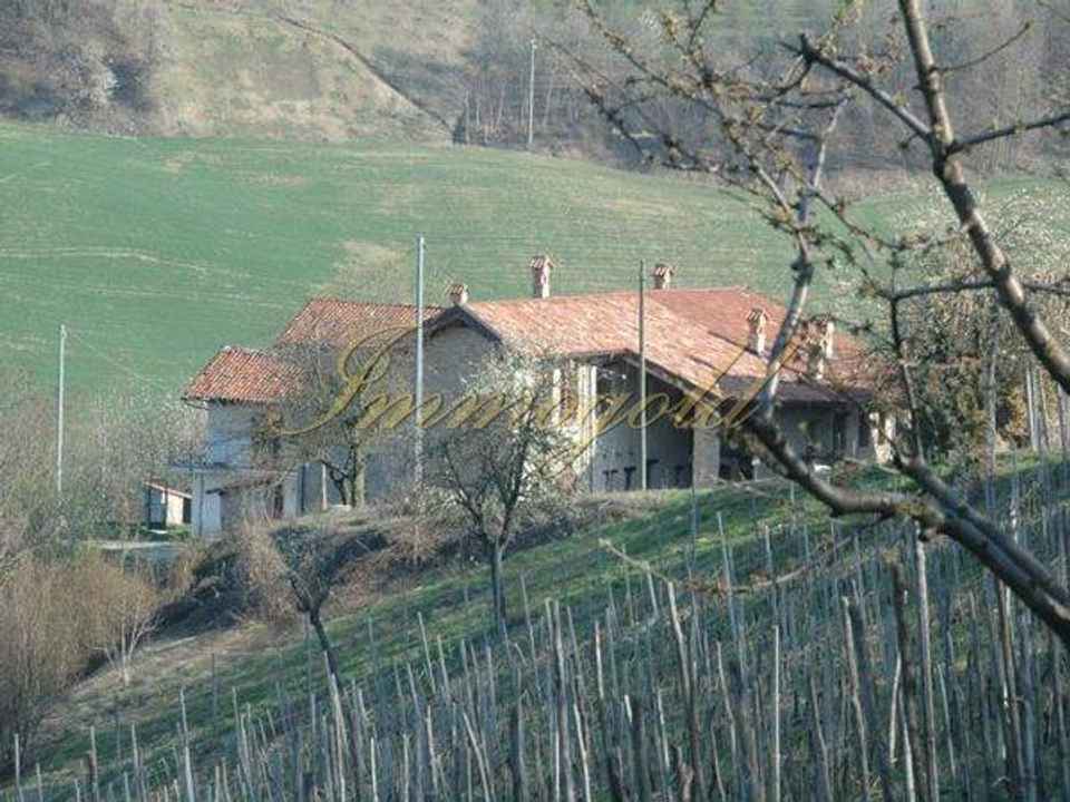 Bedrijfsklaar Agriturismo met eigen wijngaard, in een toeristisch zeer interessante wijnstreek.