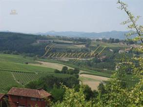 Thumbnail von Residieren im alten Herrenhaus der Grafen Roero… Bei Alba – Roero, ein besonderes Anwesen sucht einen neuen Besitzer.