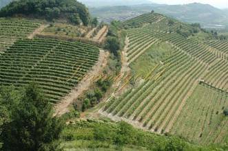 Thumbnail von Villa ristorante esclusiva con quattro camere da letto per gli ospiti arredate individualmente.