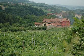 Thumbnail von Agriturismo-Betrieb der Sonderklasse