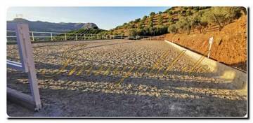 Thumbnail von Licht durchflutete Finca mit Gästehaus, Pool, Pferdestall und Reitplatz