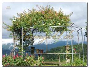 Thumbnail von Landhaus-Villa mit historischen Merkmalen im Herzen des Naturparks von Monte Fenera.